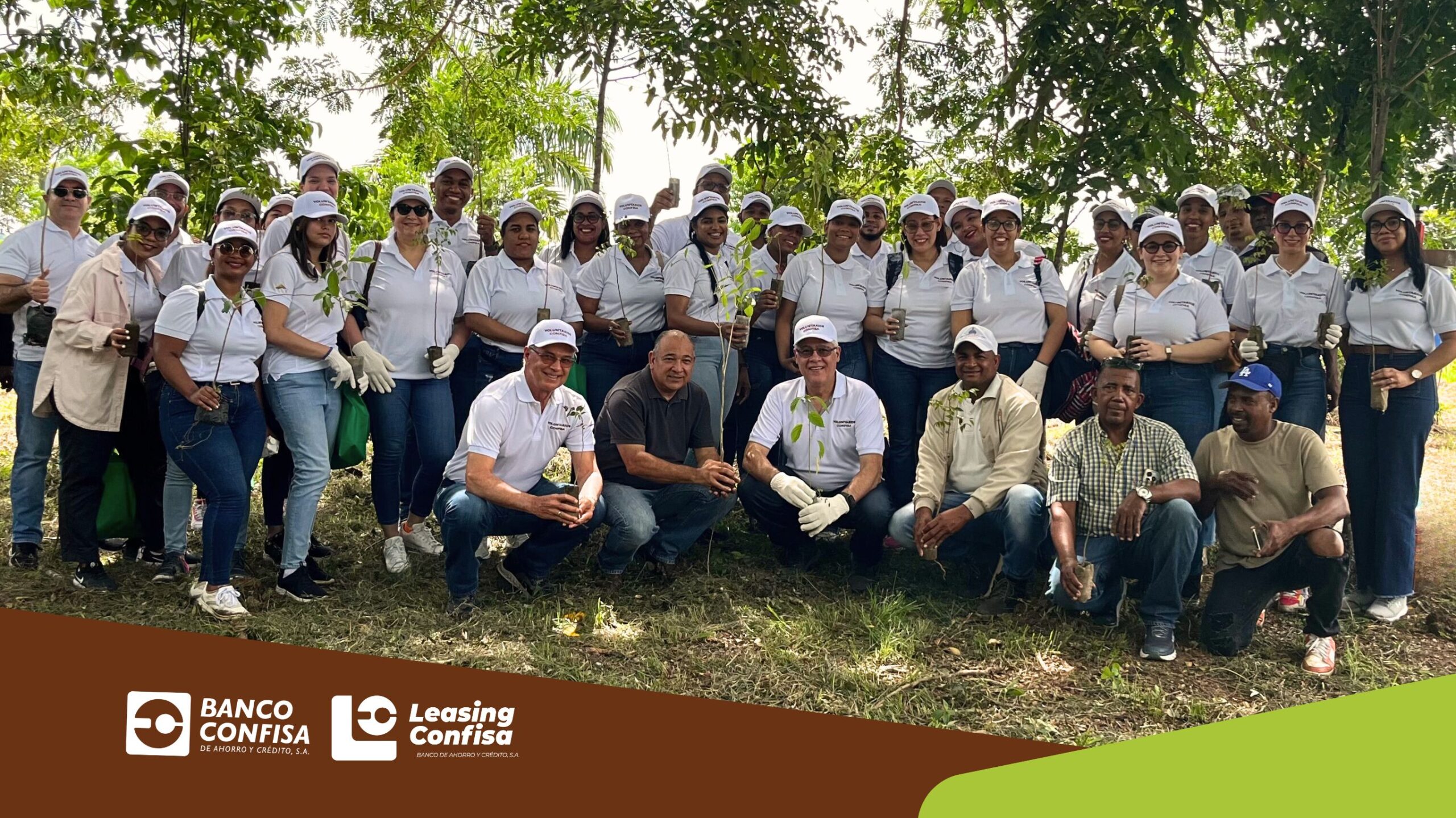Voluntarios Confisa siembran 1,200 árboles en Hato Mayor