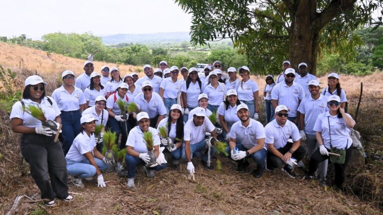 Voluntarios Confisa siembran 1,500 Pinos Caribaea en la comunidad Las Arenas de Cevicos