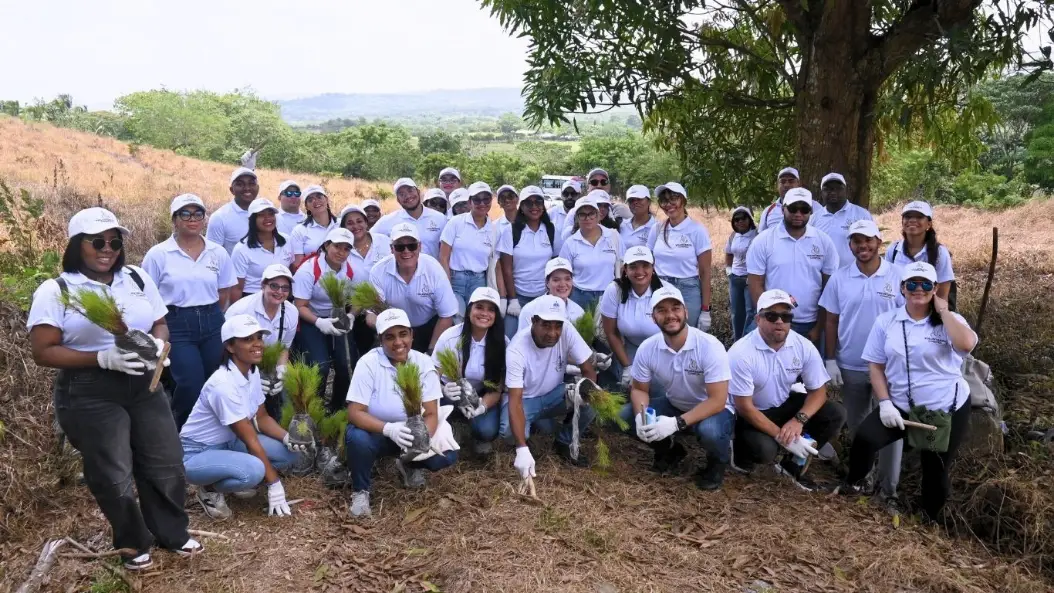Voluntarios Confisa siembran 1,500 Pinos Caribaea en la comunidad Las Arenas de Cevicos